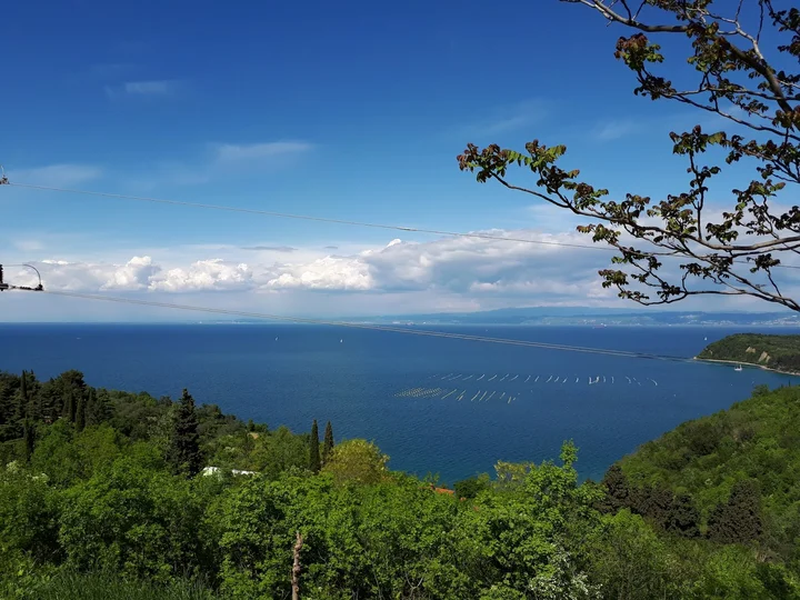 park-strunjan-in-strunjan-piran-ask-ai-mindtrip