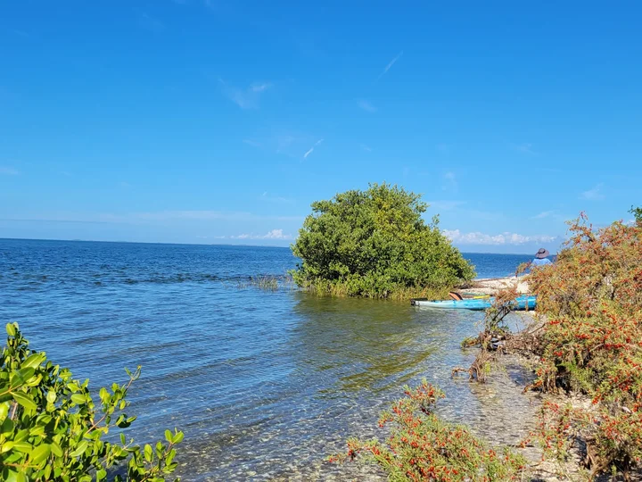 Mullet Key in Crystal River, Florida - Ask AI | mindtrip