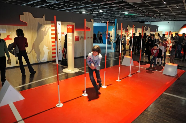 Imagine Exhibitions, Inc. | What to Know Before You Go