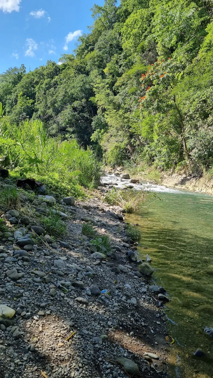 Buff Bay River in Buff Bay | What to Know Before You Go