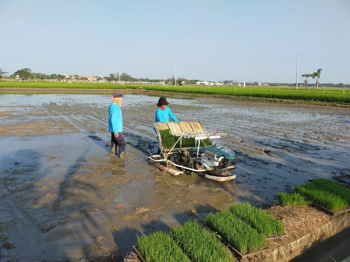 Philippine Rice Information System (DA-PhilRice-PRiSM)