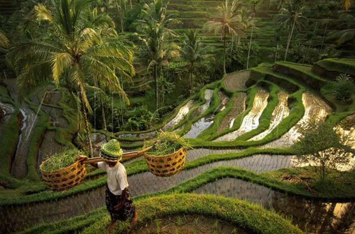 Bali Wana Adventure in Bresela, Bali | Ask Anything