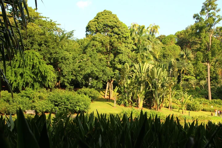 National Parks Board in Singapore - Ask AI | mindtrip