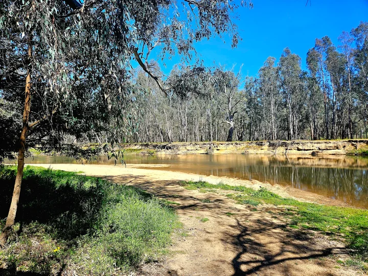 Warby-Ovens National Park | What to Know Before You Go