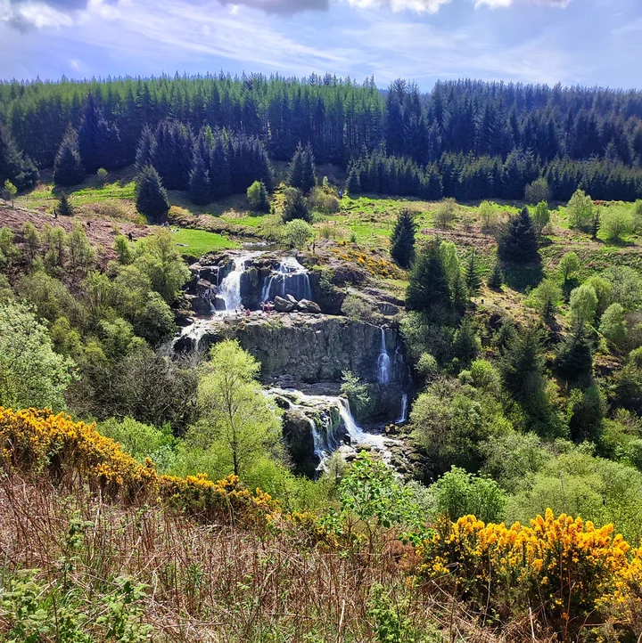 Loup of Fintry Waterfall in Fintry - Ask AI | mindtrip