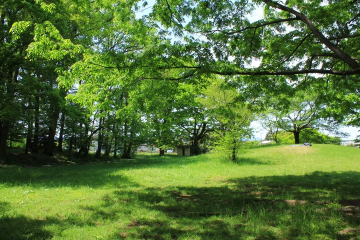 Sakado City Sports Park in Sakado - Ask AI | mindtrip
