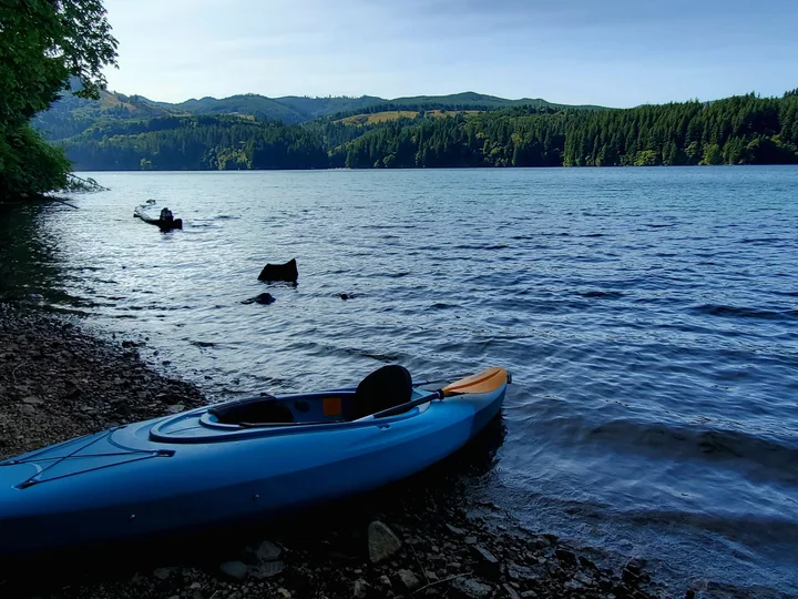 Lake Merwin in Ariel, Washington - Ask AI | mindtrip