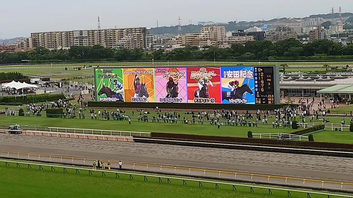 JRA Tokyo Racecourse in Fuchu, Tokyo - Ask AI | mindtrip