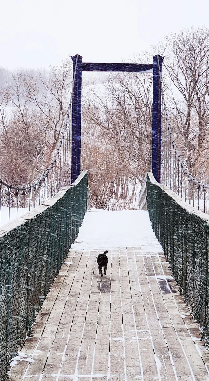 Rotary Swinging Bridge | What to Know Before You Go