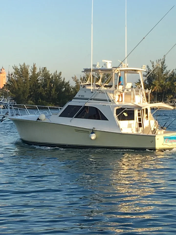 Hunter Charters in Nassau & Paradise Island | Ask Anything