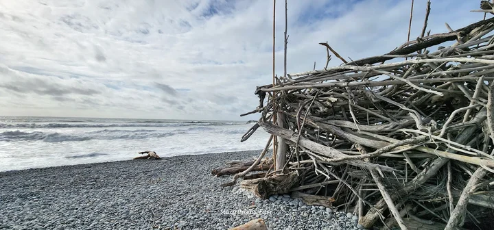Greymouth beach in Greymouth | What to Know Before You Go