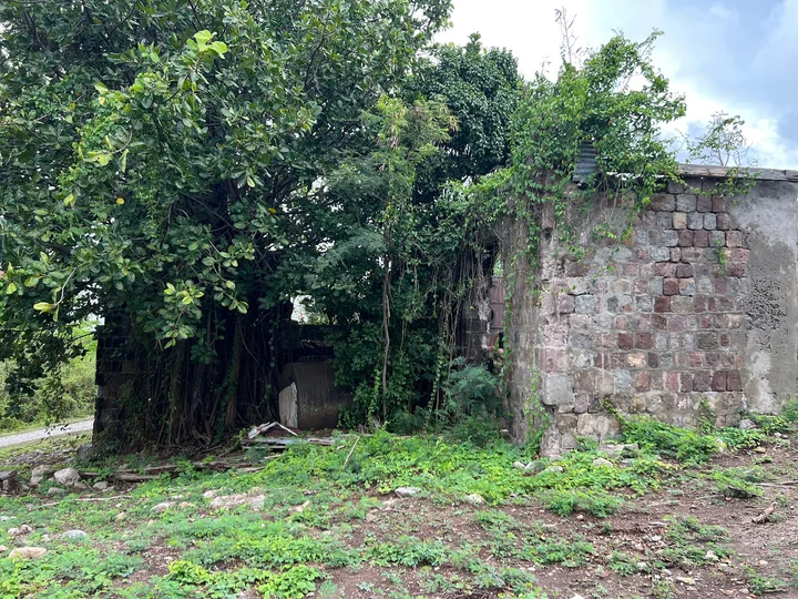 Hamilton Estate - Plantation | What to Know Before You Go