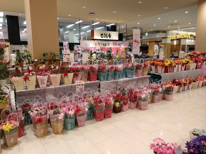 SunLive City Kokura in Kitakyushu | Ask Anything