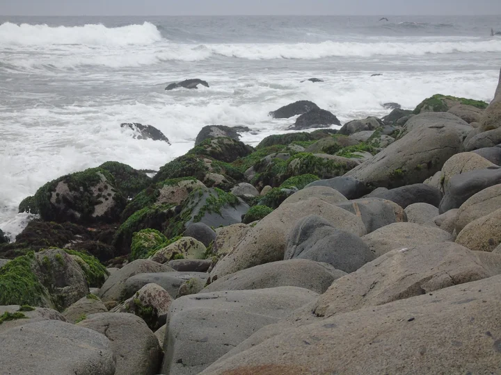 Playa Punta Rocas in Punta Negra - Ask AI | mindtrip