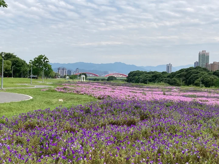 Guting Riverside Park in Zhongzheng District | Ask Anything