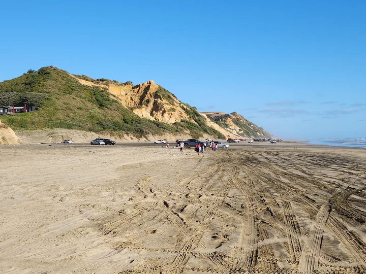 Baylys beach in Dargaville, Northland - Ask AI | mindtrip