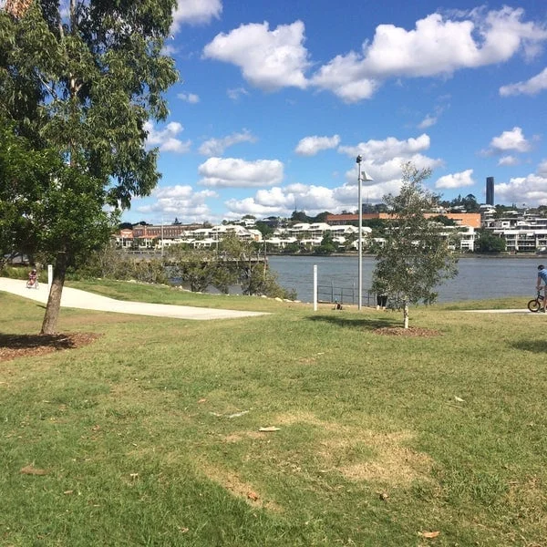 Bulimba Riverside Park in Brisbane | Ask Anything