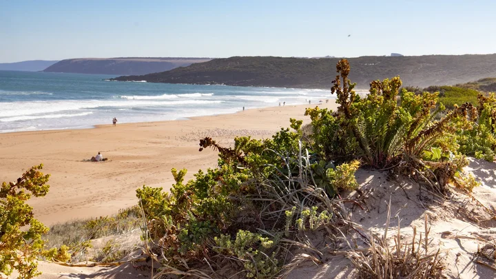 Waitpinga Beach in Waitpinga | What to Know Before You Go