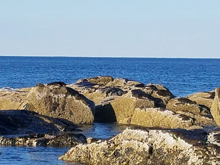Blue Ocean Discovery Center | What to Know Before You Go