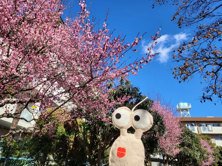 Nerima Kuritsu Yutaka Park | What to Know Before You Go
