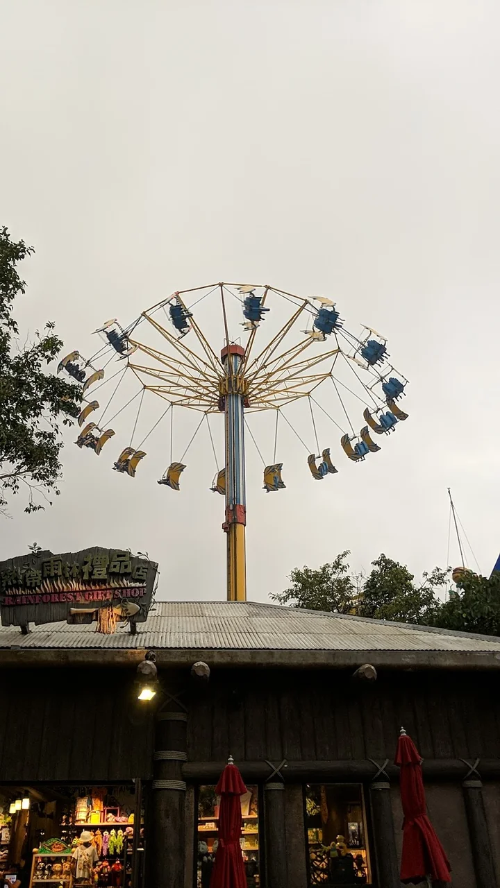 Whirly Bird in Hong Kong | What to Know Before You Go