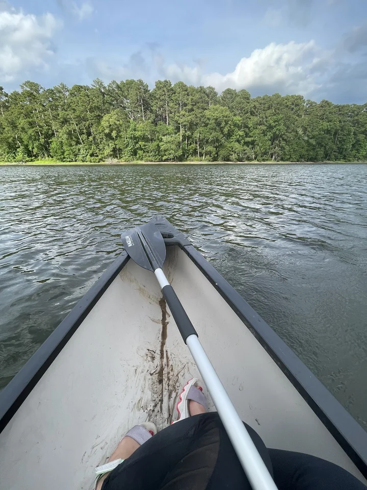 Lake Raven in New Waverly, Texas - Ask AI | mindtrip