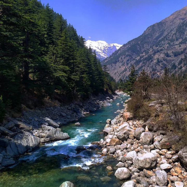 Harshil Valley in Harsil | What to Know Before You Go