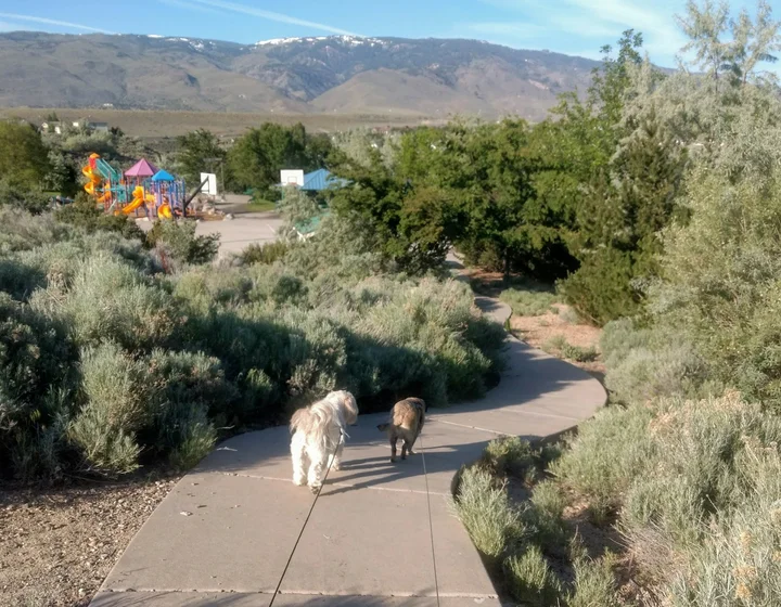 Rainbow Ridge Park in Reno, Nevada - Ask AI | mindtrip