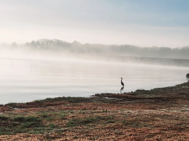 Lake Quitman in Quitman, Texas | Ask Anything