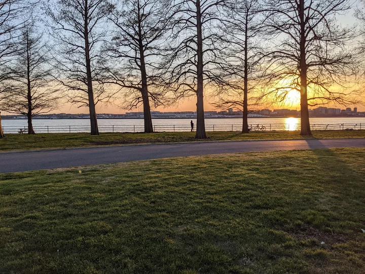 Hains Point in Washington DC | What to Know Before You Go