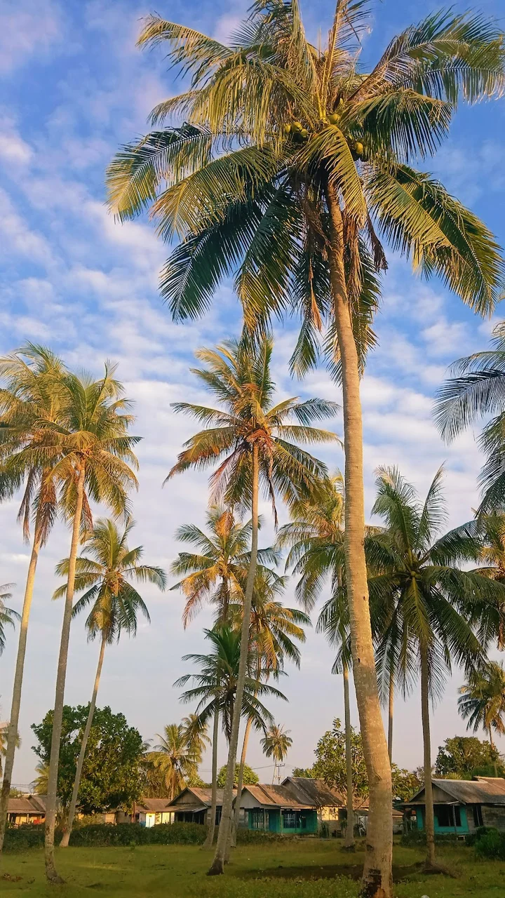 Pantai Rindang Piungan in Swarangan - Ask AI | mindtrip