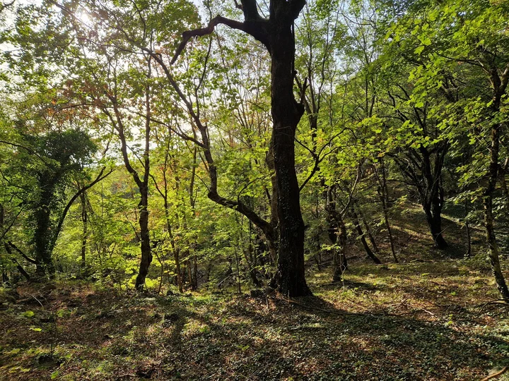 Peak of Tujan in Tirana, Tirana County - Ask AI | mindtrip