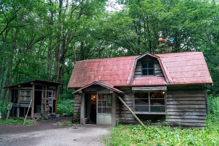 Rokugo Forest in Furano, Hokkaido - Ask AI | mindtrip