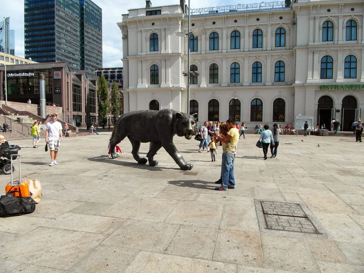VisitOSLO as in Oslo | What to Know Before You Go