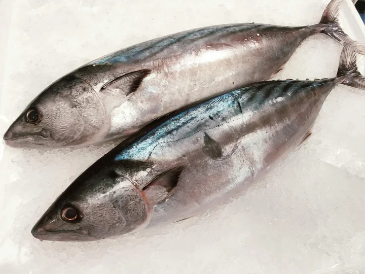 Shellfish Ltd - Wholesale Fish Shop