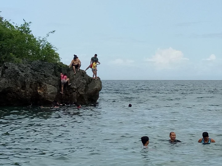 Turtle Point in Catmon, Central Visayas - Ask AI | mindtrip