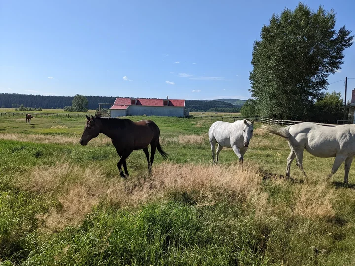 OH Ranch in Longview, Alberta | What to Know Before You Go