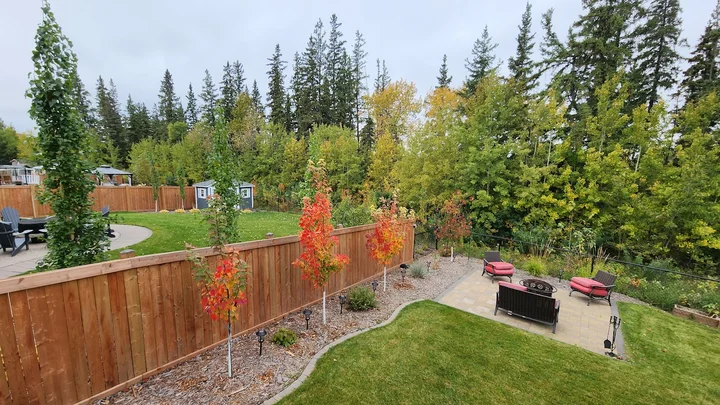 Wedgewood Ravine in Edmonton | What to Know Before You Go
