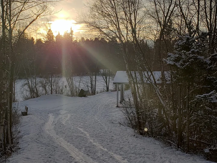 Mapleton Park in Moncton | What to Know Before You Go