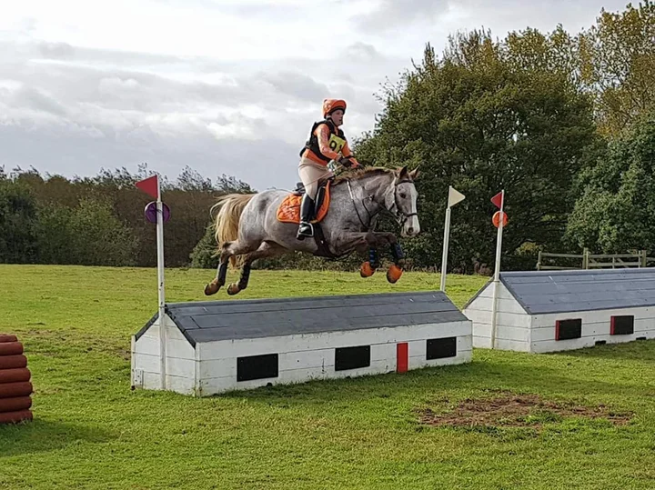 Poplar Park Equestrian Training Centre - Ask AI | mindtrip