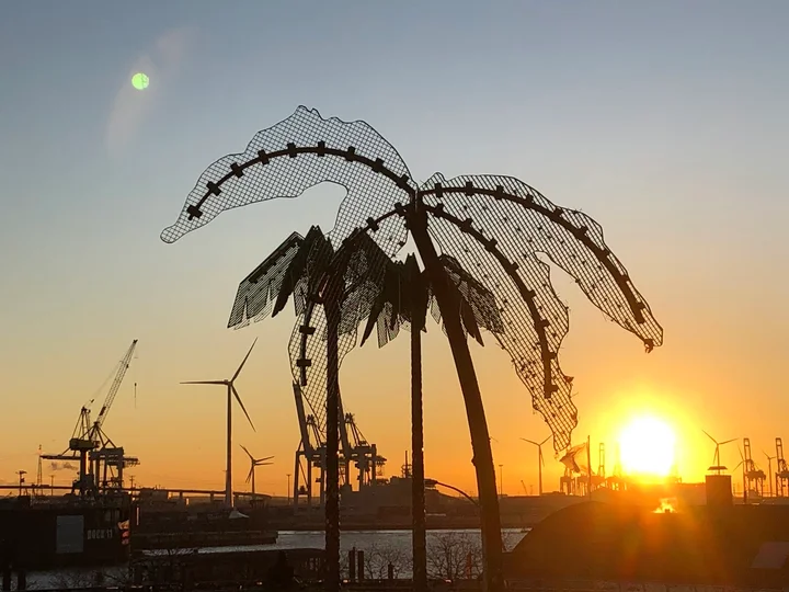 Palmen aus Plastik in Hamburg