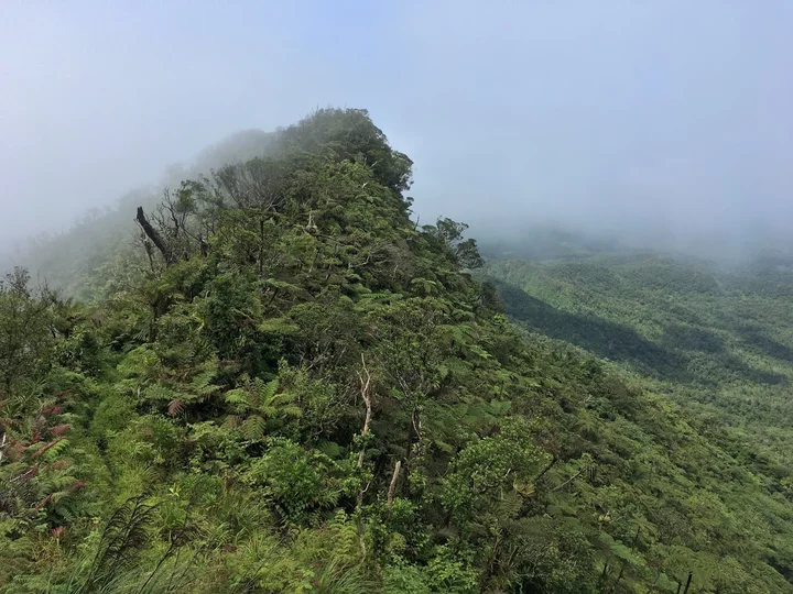 Talanoa Treks in Suva, Central Division - Ask AI | mindtrip