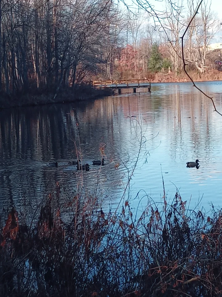 Grenloch Lake in Grenloch, New Jersey - Ask AI | mindtrip