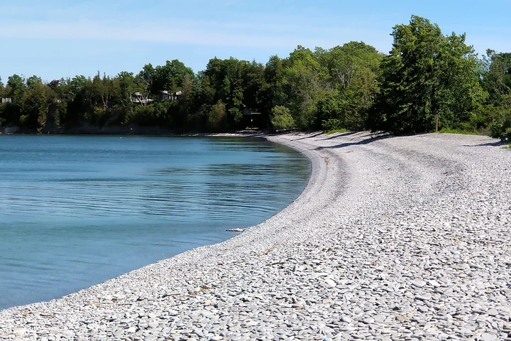 Little Bluff Conservation Area - Ask AI | mindtrip