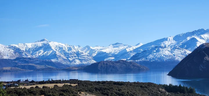 Sticky Forest in Wanaka, Otago | What to Know Before You Go