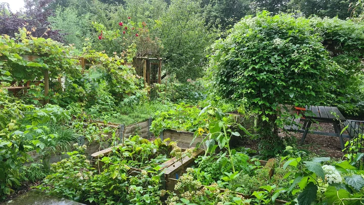 Stadsboerderij Osdorp in Amsterdam - Ask AI | mindtrip