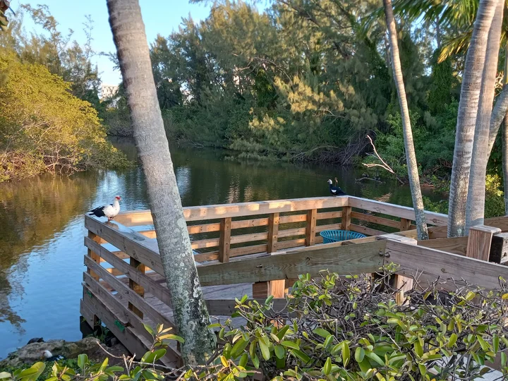 Turtle Point in Nassau & Paradise Island | Ask Anything