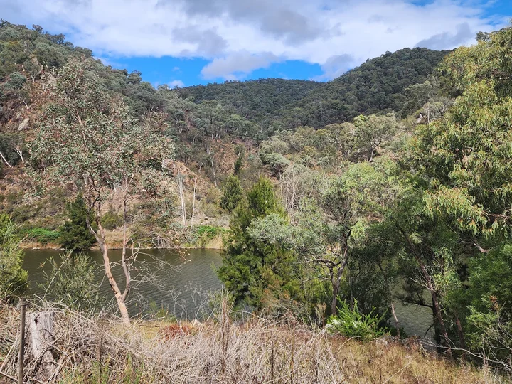 Kambah Pool Reserve in Kambah | Ask Anything