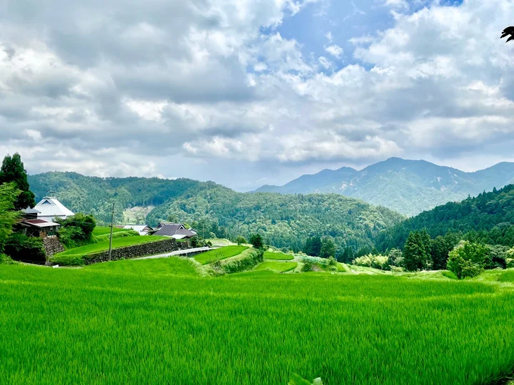 Hata Rice Terraces in Takashima - Ask AI | mindtrip