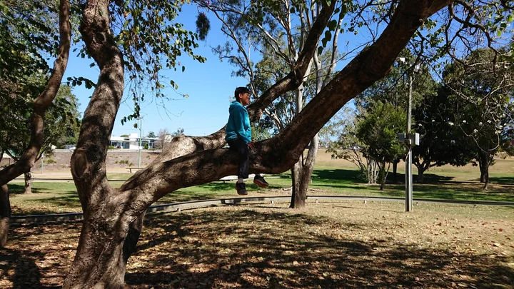 Nelson Reserve in Gympie, Queensland - Ask AI | mindtrip